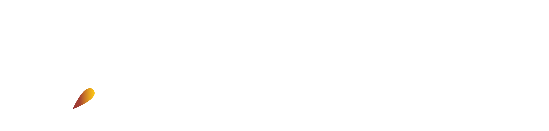 Rocket Connect AI